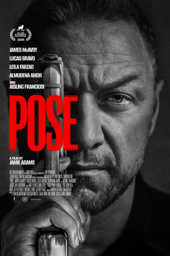 欲挽金乌（2025）